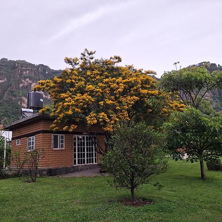 Posada Meztitla テポストラン エクステリア 写真